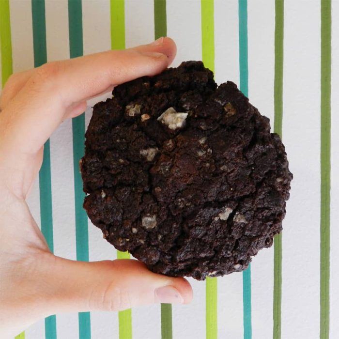 Cookies doble choco sal
